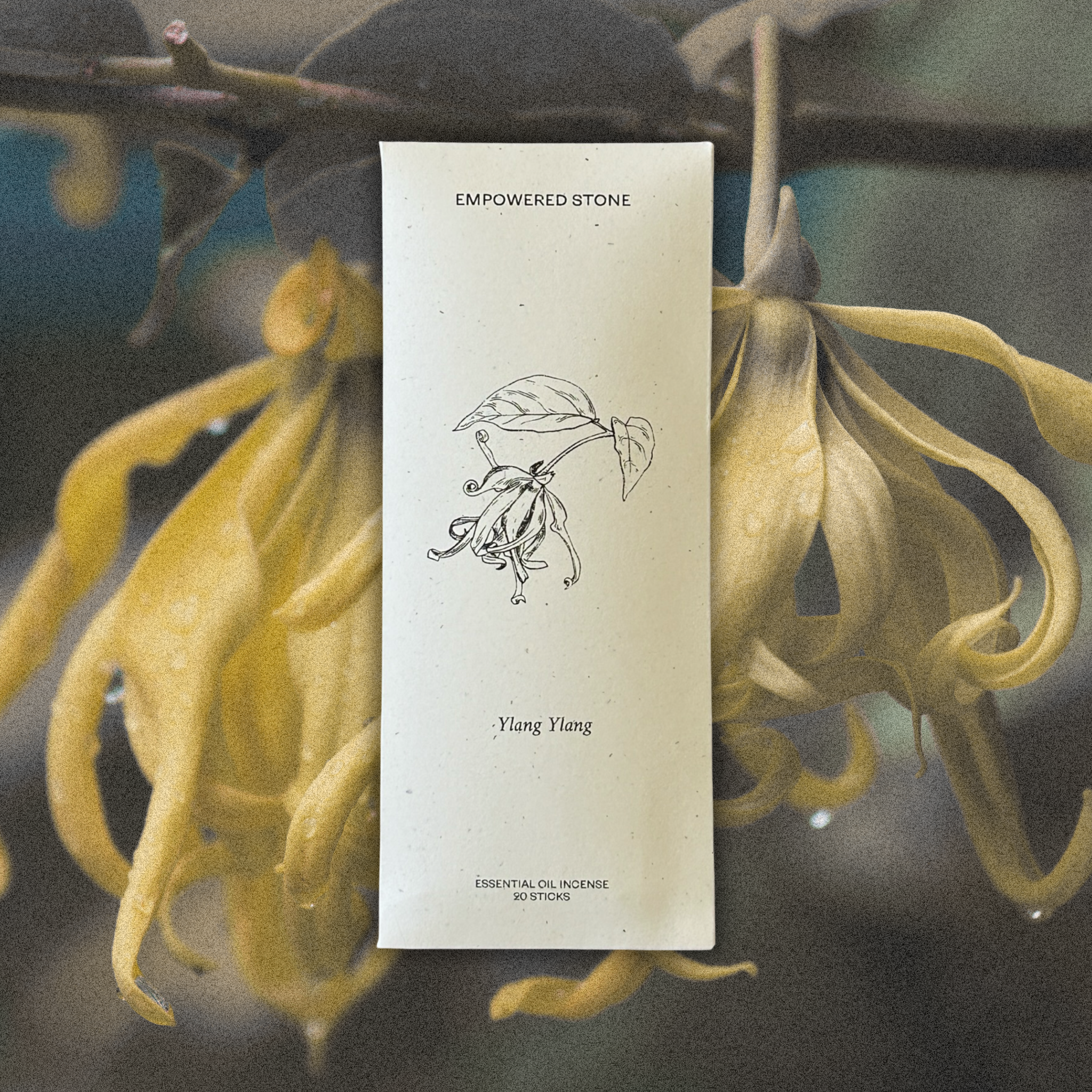 Ylang Ylang